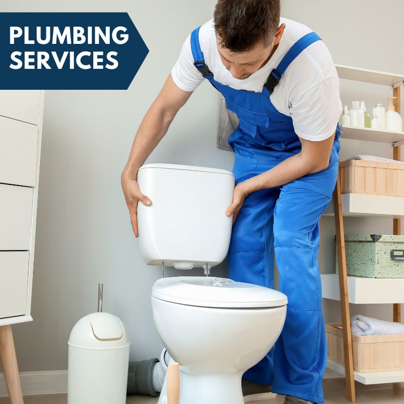 Plumbing Company in Wheeler, IL